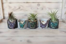 Blue Apatite Geometric Planter | Dark